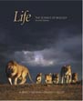Lifeの画像